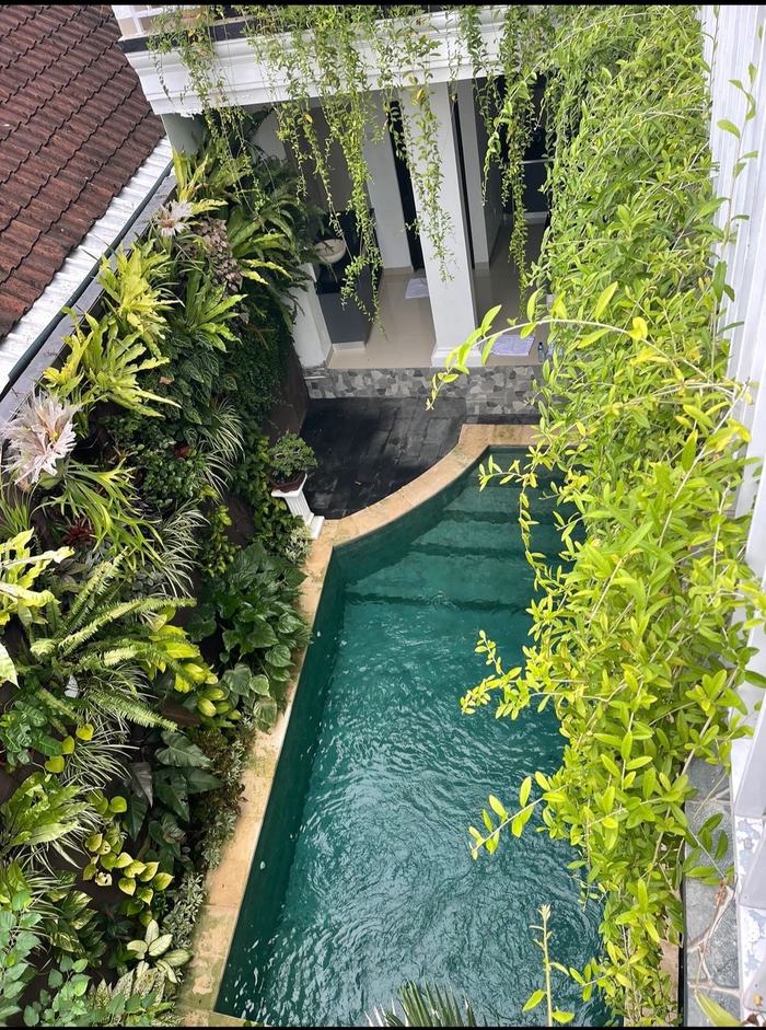 Aerial view of the Casa Buana plunge pool wrapped in a vertical garden